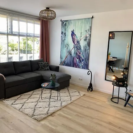 Amsterdam Beach Apartment 76 Zandvoort Exterior photo